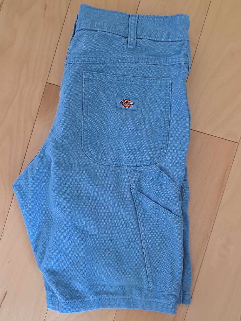 Dickies Men's Light Blue/teal Casual Flat-Front Shorts